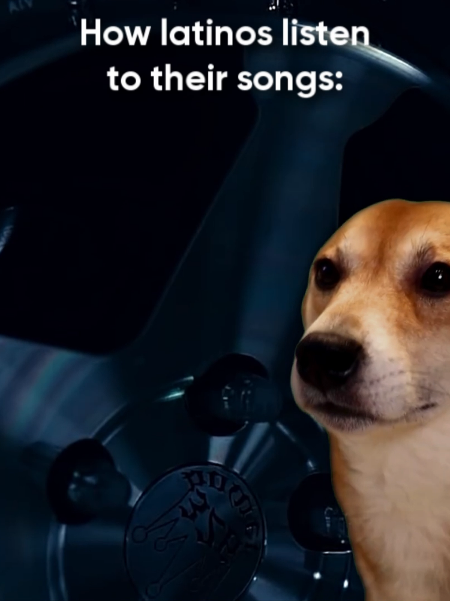 How LATINOS listen to El Telefono 🗣️‼️🔥 #fy #fyp #fypageシ #fypage #fypシ゚viral #viral #meme #parati #paratii #cover #coversong #versioneningles #englishtiktok #latinotiktok #tiktokeningles #traducido #adaptado #translated #adapted #rasec #rasecoficial #rapper #rapero #reguetonero #pr #puertorico #venezuela #venezolano #regueton #hectorelfather #wyy #wisin #yandel #eltelefono #thecellphone