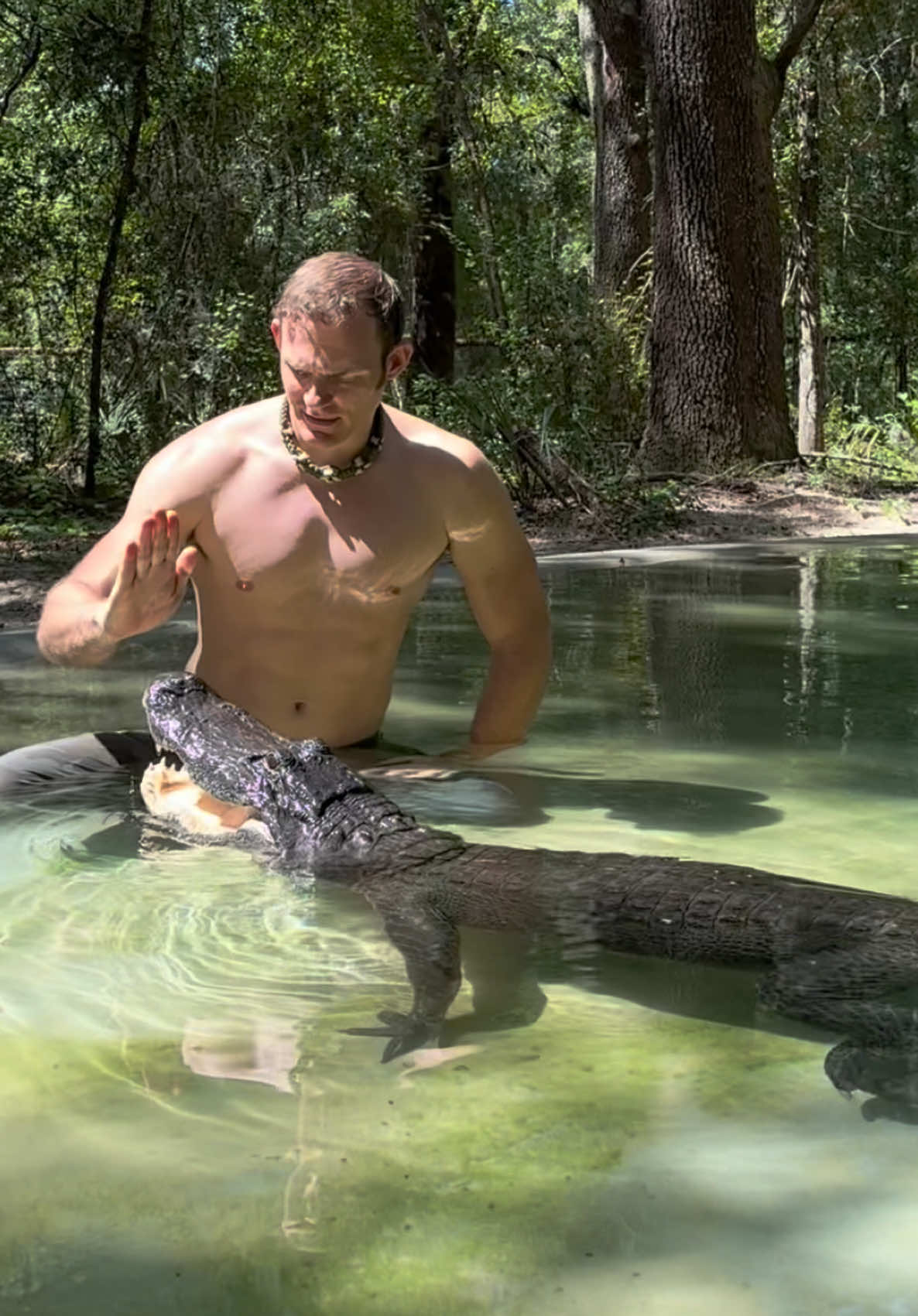 My time with the gators isn’t always feeding and jumping, a lot of time is spent just chilling and hanging out with them, getting them used to my presence and that I’m not a constant food dispenser. This video isn’t as exciting as what I usually show, but I thought it was important to show this is also an important part of the training process and how I acclimate them to me. Our rescue gators are wild caught nuisance gators that would’ve otherwise been destroyed. The state of Florida destroys 8,000 “nuisance” gators annually, but we don’t have a nuisance gators problem but rather a nuisance HUMAN problem. 1k people a day move to FL, unsustainably developing the land, and a lot of ignorant people making a nuisance out of themselves. NEVER feed a wild gator, never have kids or pets near the water, and never swim in gator habitat! And of course, never attempt anything you see in my videos!If you would like to donate to the care of the sanctuary animals, we greatly appreciate any support!! You can make a tax deductible donations directly through our website bellowingacres.org #animaleducation  #Rescue #AnimalRescue #AnimalSanctuary #ExoticAnimals #Animals #Animals #CuteAnimals #educational    #Gator #Alligator #crocodile #nilecroc #nilecrocodile   #reptile #scicomm #rescuegator