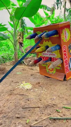 Wow Wild boar trap - Use a shell - sharp wood #Wildlife #wildanimals #shortvideo #wildpig #wildboartrap #animaltrap #trappig #wildboartrapping #pig #foryou 