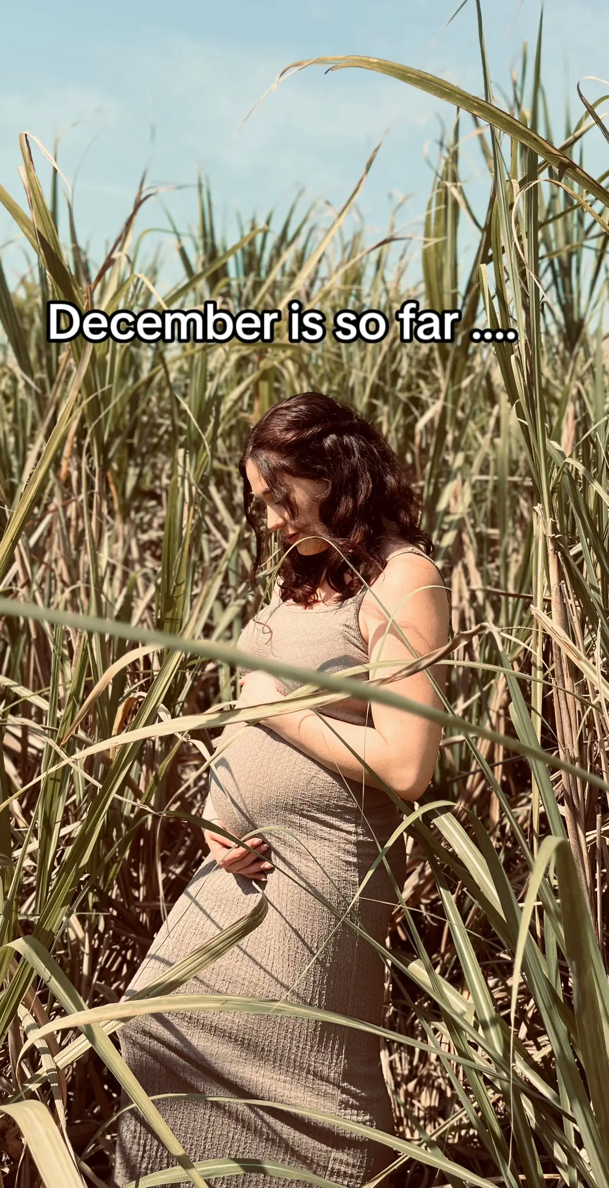 My little christmas gift is a BOY 💙🥰 we are just over half way and its going fast and slow at the same time !!!! #23weekspregnant #pregolife #pregnancyjourney #pregnancy #duedate 