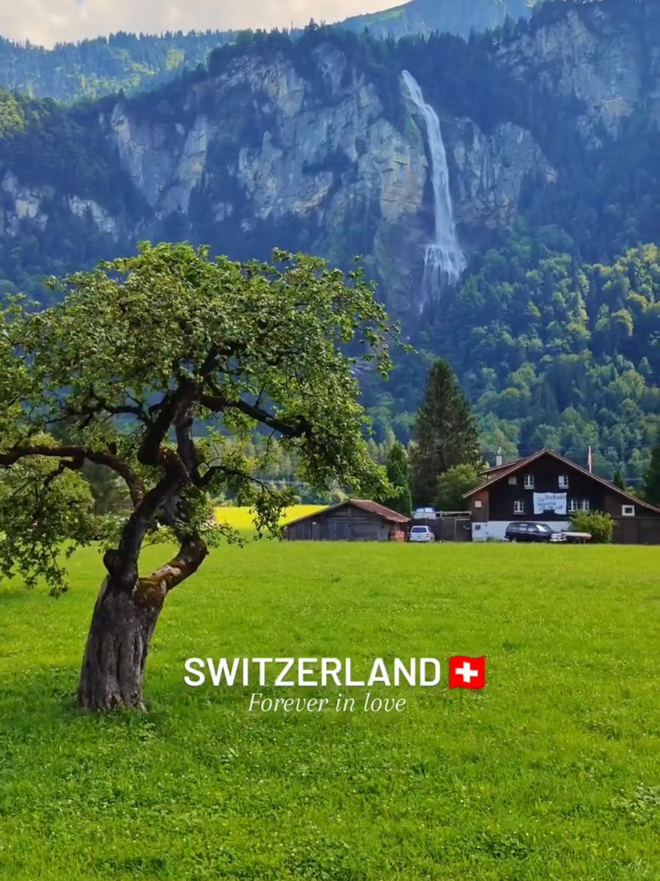 🚩 SWITZERLAND 🇨🇭⛰️🏡🪴🌸 #fyp #nature #switzerland #naturalbeauty #traveltiktok #explore #viral #1m 