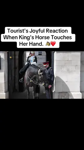 Tourist's Joyful Reaction When King's Horse Touches Her Hand. 🐴❤️ #tiktok #joyful #horseguard #fyp 