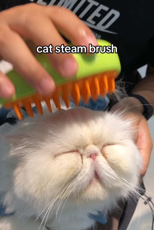 Bye-Bye Cat Fur! 🐾 Steam Hairbrush 25% OFF (Save up to $5) - Get Yours Now! ❤️😻👍🐈😽🙏🥰#falldealsforyou #TikTokShop #tiktokmademebuyit #tiktokshopbacktoschool #viral #limitedtimesale #catsteambrush #catbrushwithsteam #steambrushforcats #catbrushesforshedding #catbrushwithrelease #3in1steamycatbrush #selfcleaning #steamcatbrush #rechargeable #catgroomingbrush #multifunctionalcatgroomingbrush #electricpetbrush #pethairremovalcomb #catsteam #petgroomingtool #petdryer #petgroom #hydrateandgo #petdryer #furryfriendsboutique7 