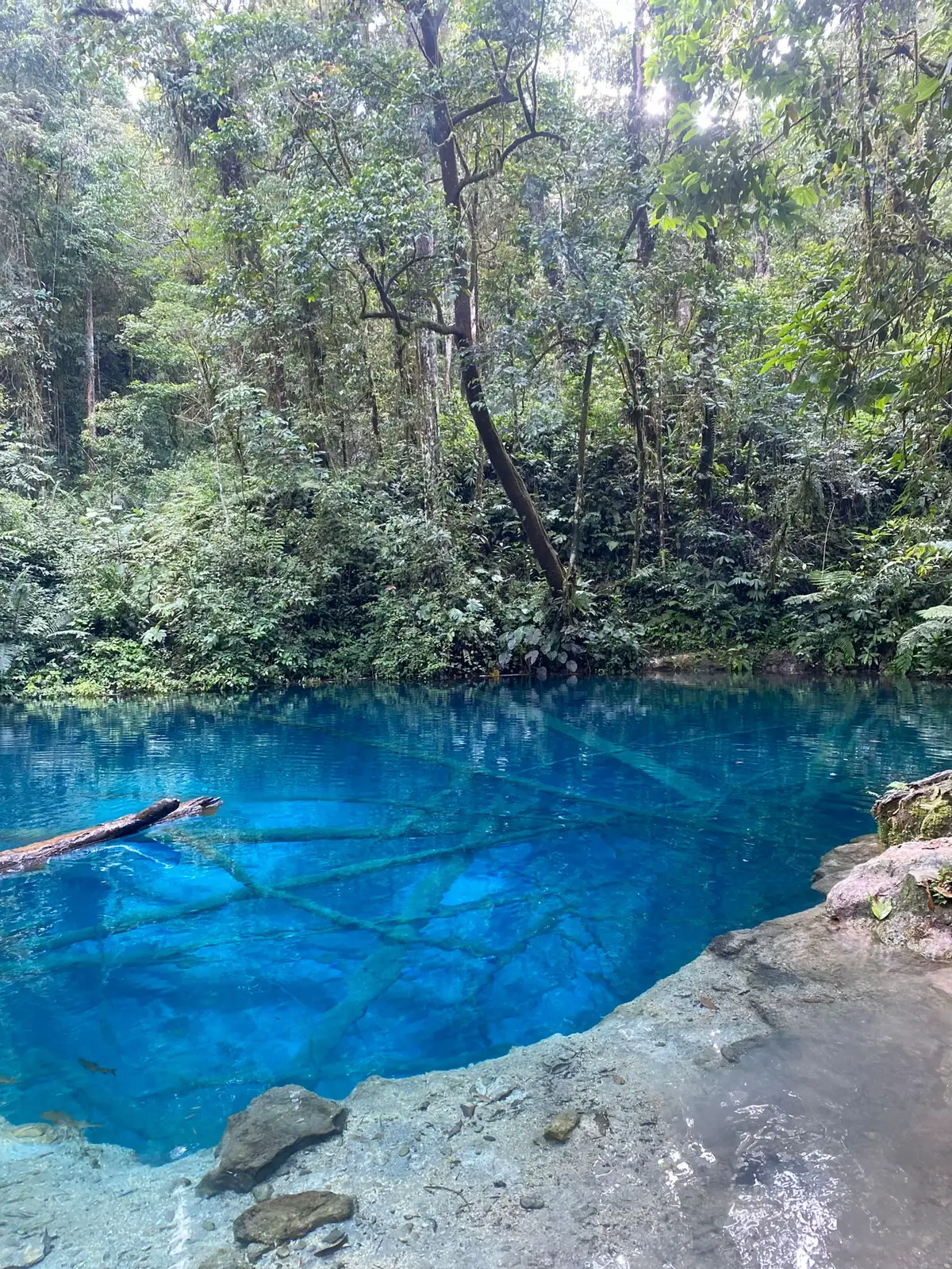 Tidak bisa untuk di ulang kembali.☘️ #fypシ 