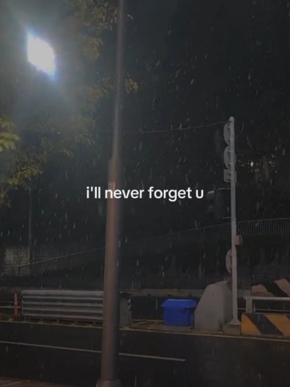 I'll never forget you >> #noisettes #neverforgetyou #lyrics #musicvibes #foryou #fyp 