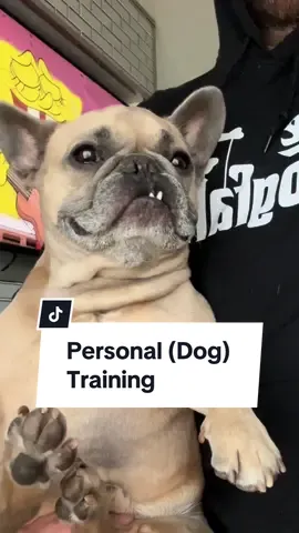 Probably my favorite exercise #bigsteppa #frenchbulldog #dogparent #dogs #workout #personaltrainer #bigboy 