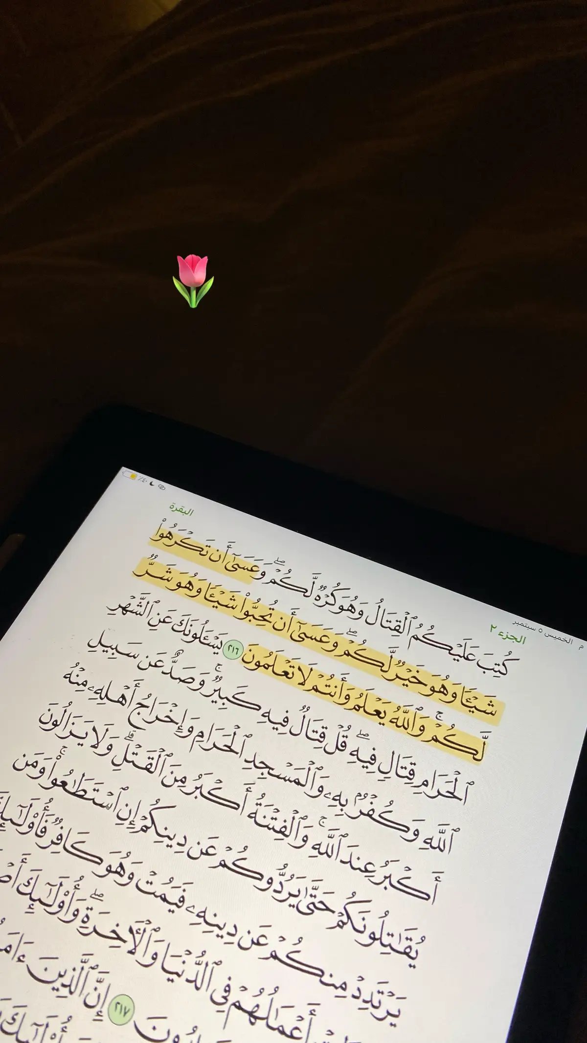 الحمدلله❤️❤️❤️❤️#اكتبوا_شي_تؤجرون_عليه #استغفرالله #اللهم_صلي_على_نبينا_محمد #اجر_لي_ولكم #جدتي #الله_يرحمك_ويجعل_مثواك_الجنه_يارب #لا_اله_الا_وحده_لا_شريك_له_له_الملك #لا_اله_الا_انت_سبحانك_اني_من_الظالمين #اذكروا_الله #يارب_العوض #الحمدالله_علی_کل_حال❤ #الحمدلله_دائماً_وابداً #يارب #الله_اكبر 