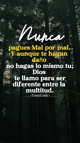 #CapCut #frases 
