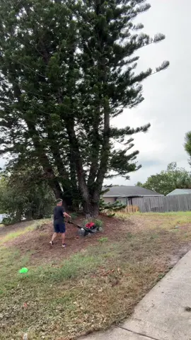Detailing my front yard infront of my house #yardtok#mowing#cleaning