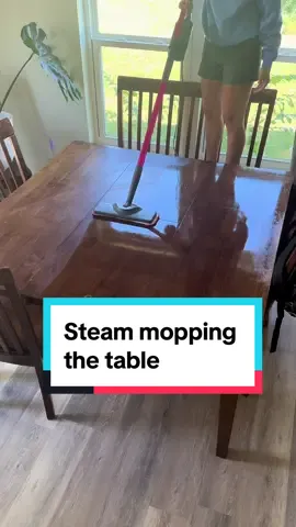 Literally less than a minute and no chemicals. #steammop #steamcleaner #CleanTok #cleaninghacks #momlife #MomsofTikTok #toddlermoms #SAHM #momtok #parenting #preschoolmom #parenttok #tiktokshop #tiktokmademebuyit #passyourwavytalk 