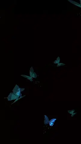 Grande Momentos #tiktok #capcut #joystatusoficial #joy #borboletas #butterfly #borboletaazul #butterflyblue #overlay #overlayborboleta #camada #sobreposicao 