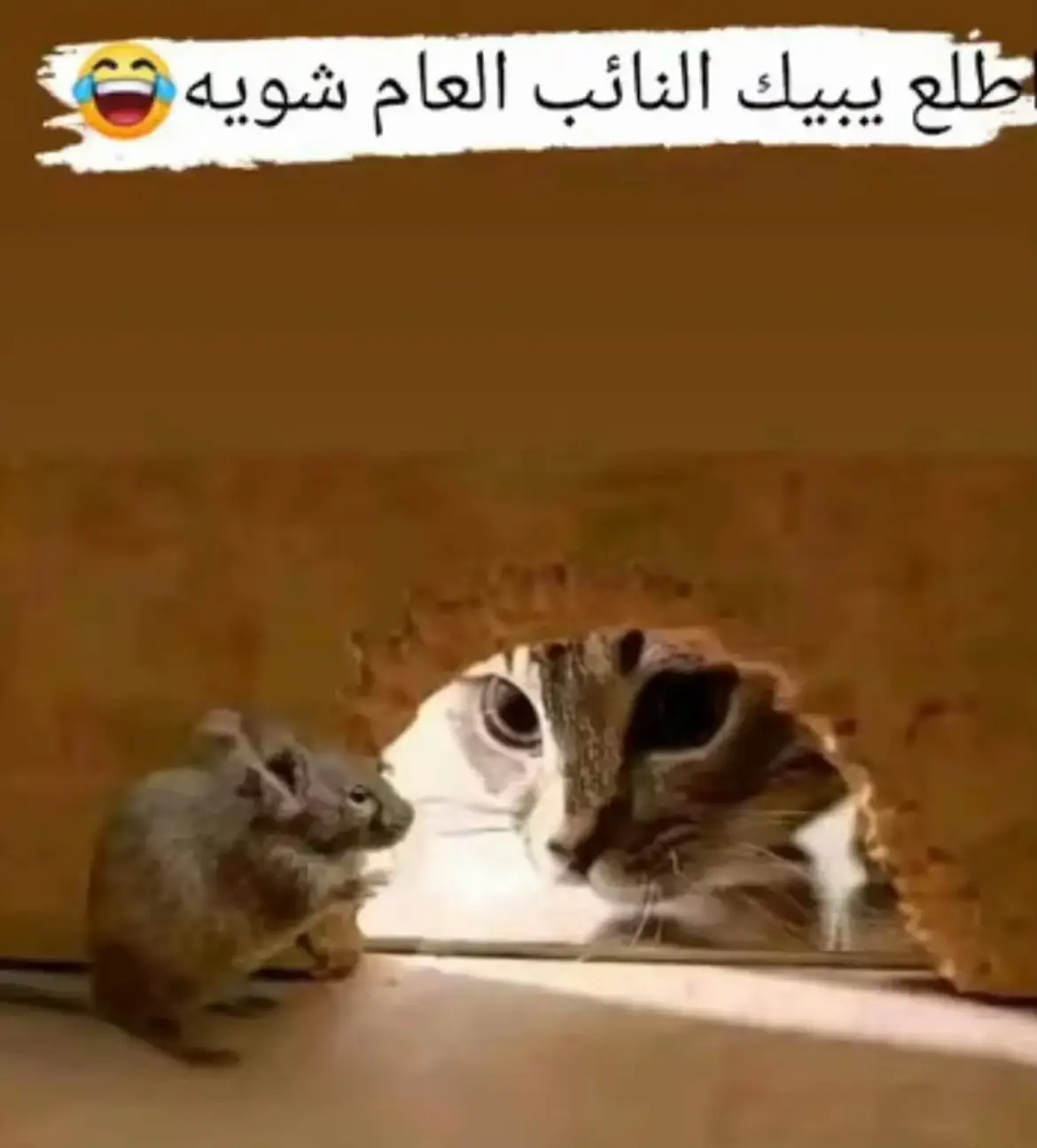 #شعب_الصيني_ماله_حل😂😂 