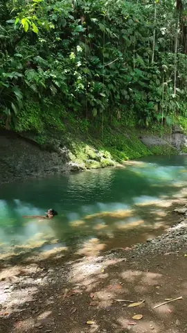 M A G N I F I Q U E  B A S S I N ✨    PETIT BOURG  Trace des ruisseaux  #guadeloupe #pasyongwada #nature #beautiful  #hikingadventures 