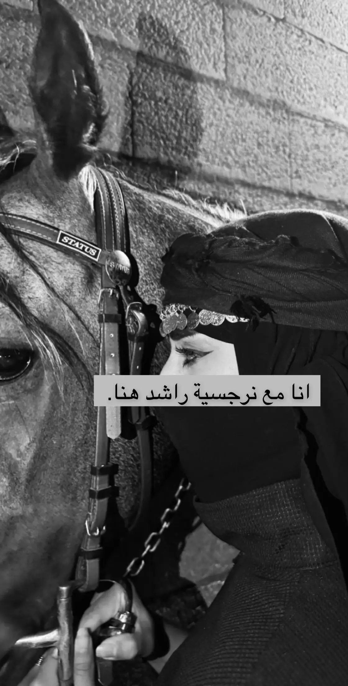 #اكسبلورexplore #الخياله_ عناد#مشاءالله_تبارك_الله_اذكروالله #خيل_وخياله🐎 #هاشتاقات_تيك_توك_العرب #فروسيه_خيل #طلعوني_اکسبلور 