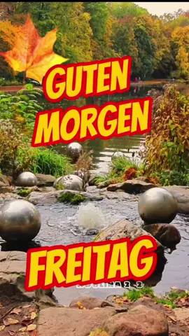 Guten Morgen Freitag  #gutenmorgen #freitag #tag #nature #herbst #grüße #tiere #wochenende 