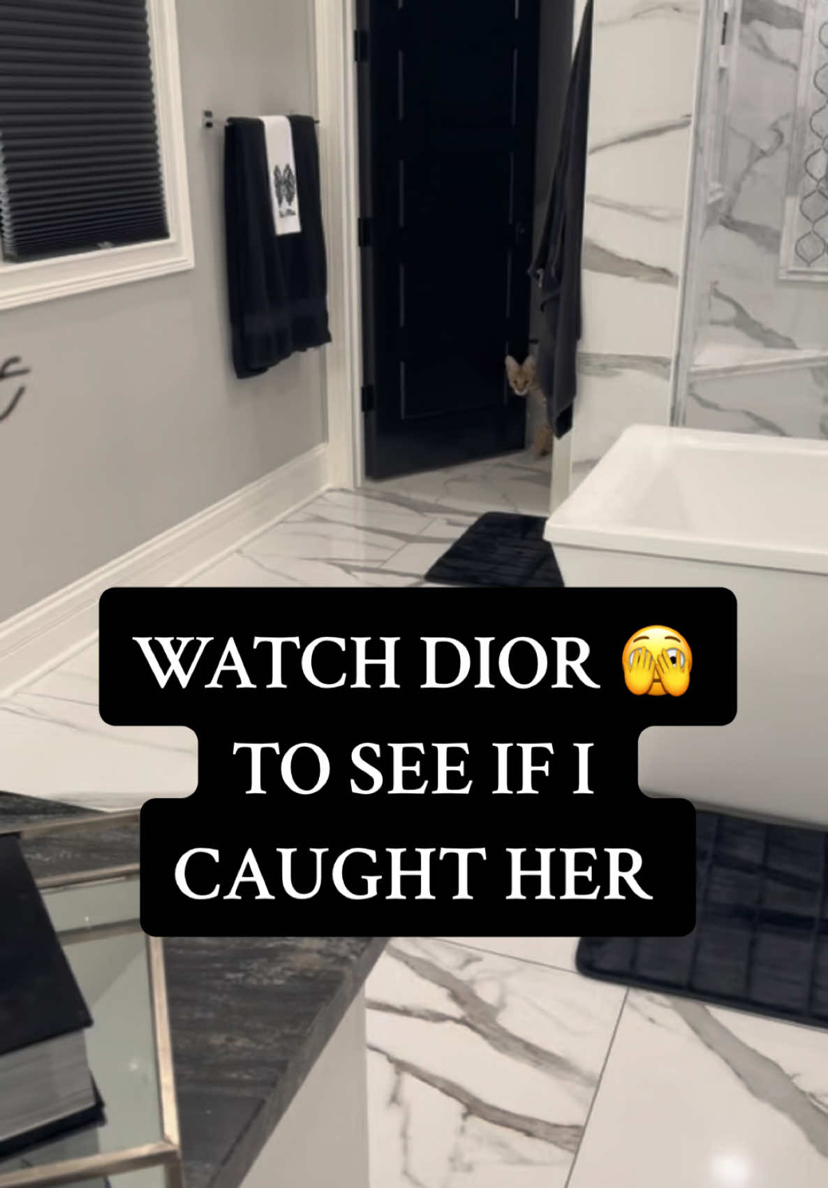 WATCH 👀 DIOR PEEK 🫣 TO SEE IF I CAUGHT HER 🧻 #viral #viralvideos #trending #trend #viral_video #viraltiktok #tik #tiktok #Love #foryoupage❤️❤️❤️foryou💞💞 #foryou #viralvideo #servals #serval #cat #catsoftiktok #funny #funnyvideos 