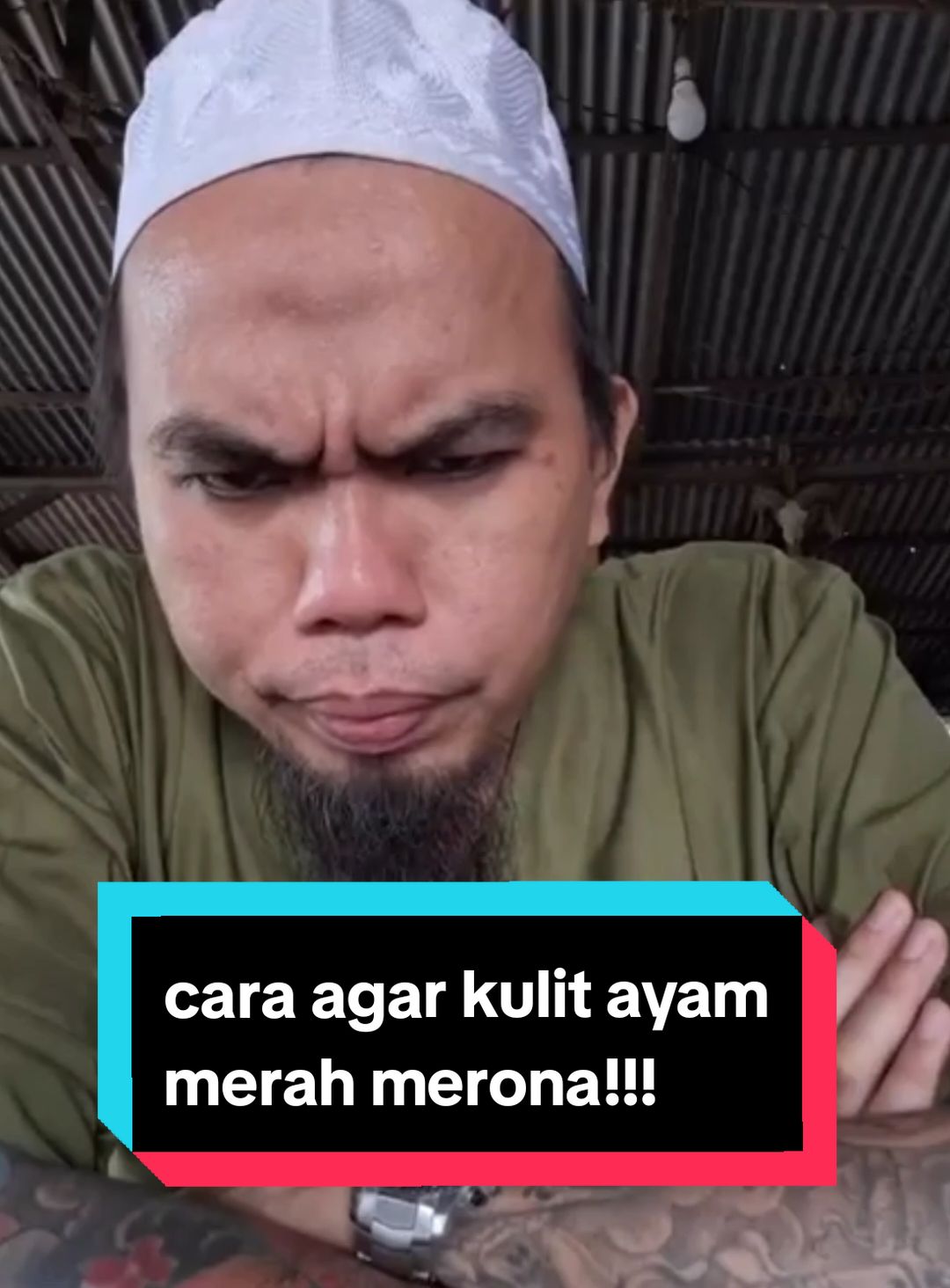 kata botoh medan ini agar ayam merah merona pakai SUPER N #hobiayam #ayamaduan #ayambangkok #supern #redcell #kaitong #fyp #mangon #pakhoy 