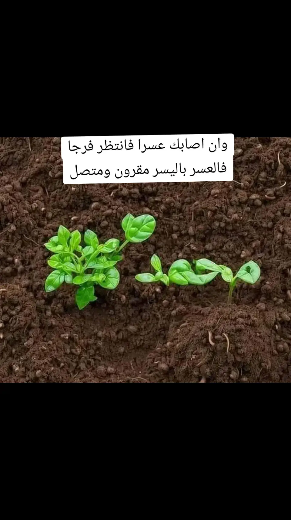 #جنو  #راحة_نفسية  #مشاهير_تيك_توك 