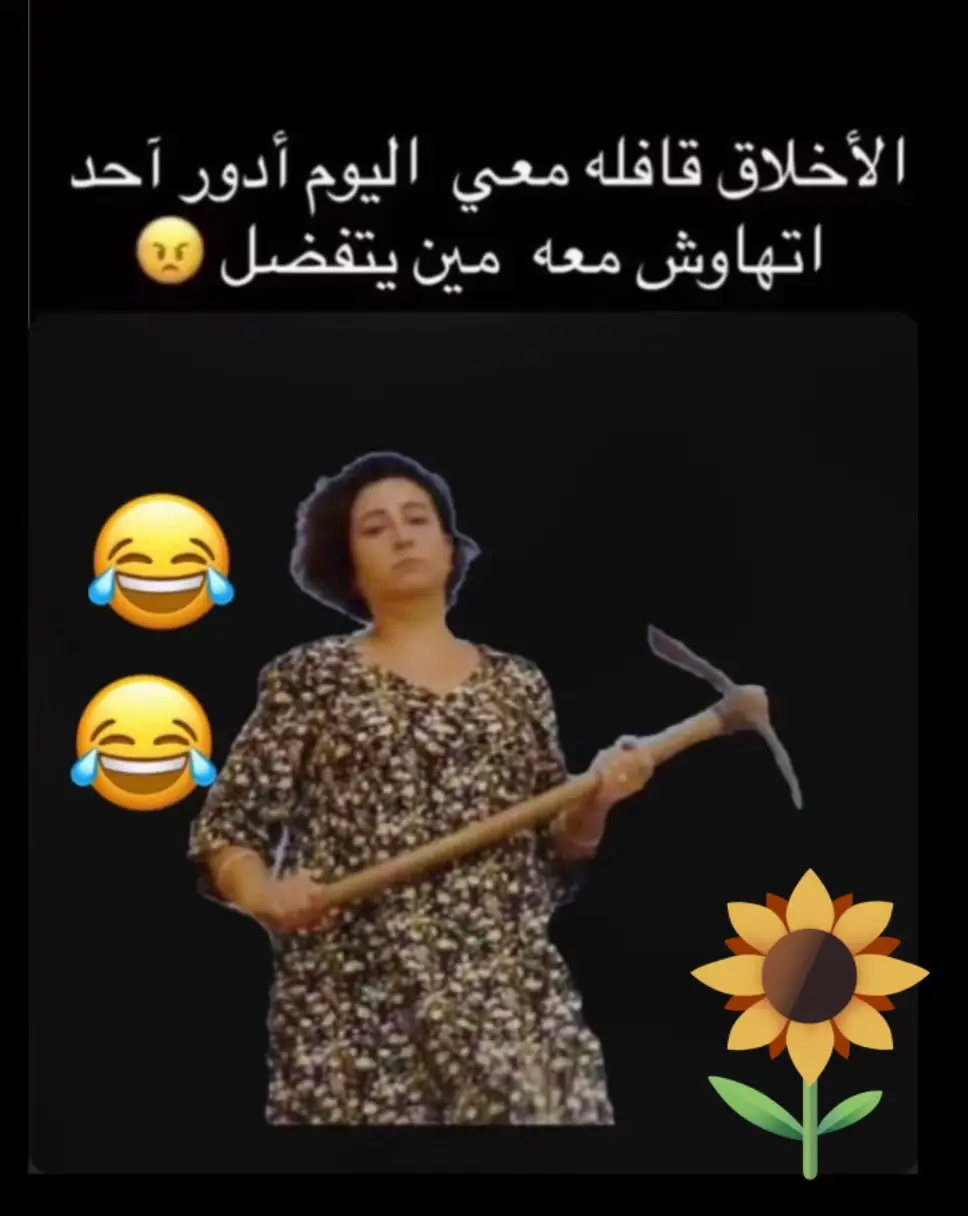 #اكسبلور 