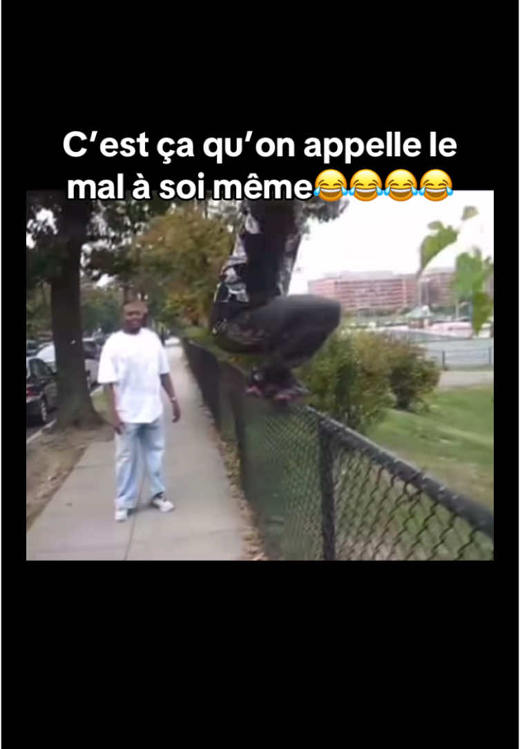 Il a voulu faire comme son ami                      #rire #scene #mdr 