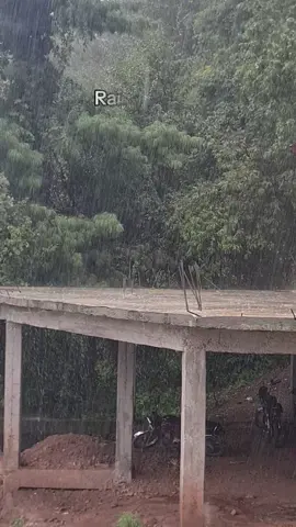 مری میں بارش کا سلسہ۔جاری #murreeupdates #viral #hotel #murree ##jhikagali #cloudy #gpo #murreenews #fyp #foggy #view #expressway #rain #update #bhurban #murreevideos #murreetoday #murreelivetoday #todaymurree #weatherupdate 
