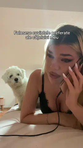 aceste 6kg de puf alb sunt viața mea🩷 #fyp #foryoupage #dogs #dogsontiktok 