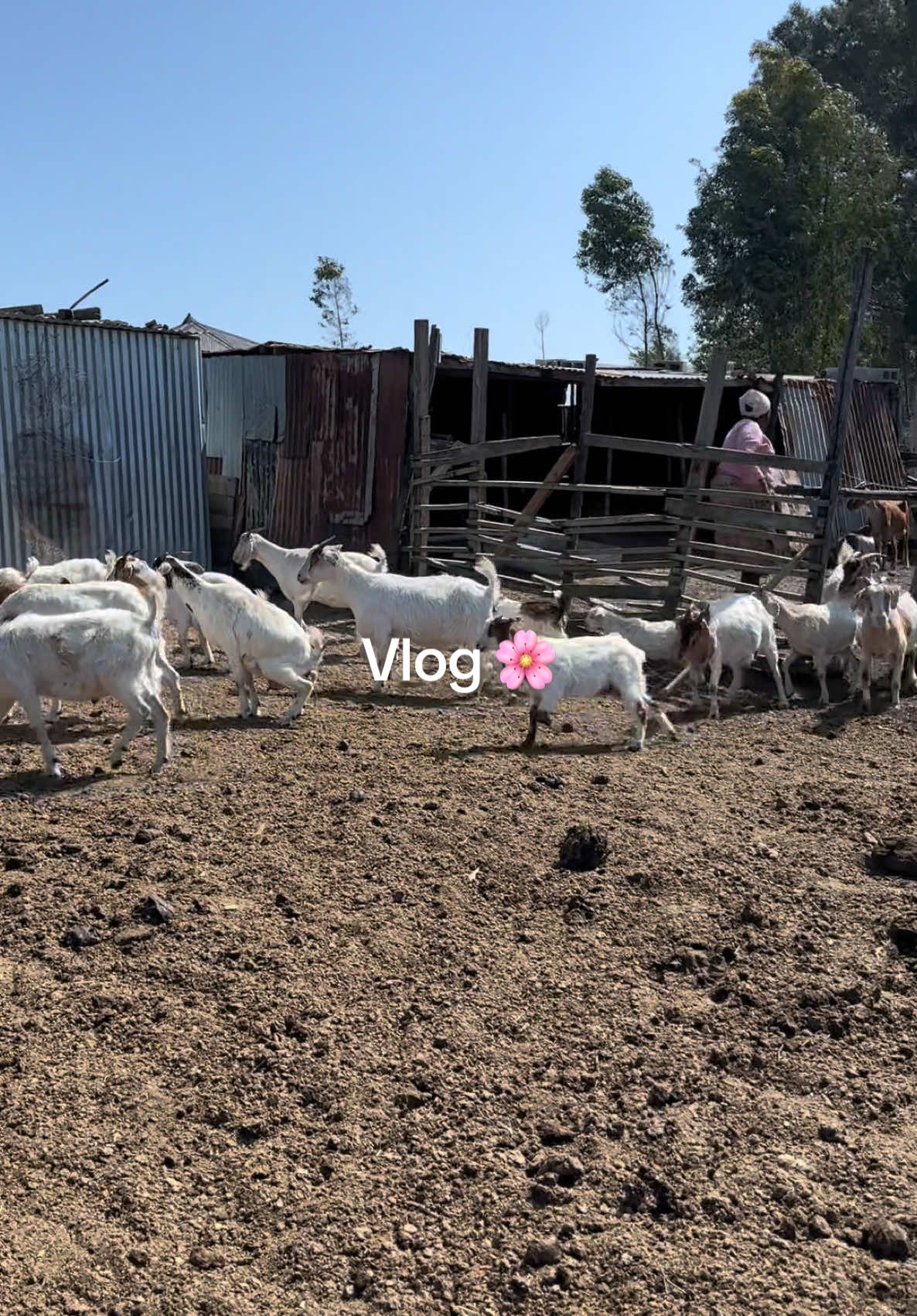 Day in my life ezilalini 🌸 #Vlog #dayinmylife #ezilalini #xhosanation 