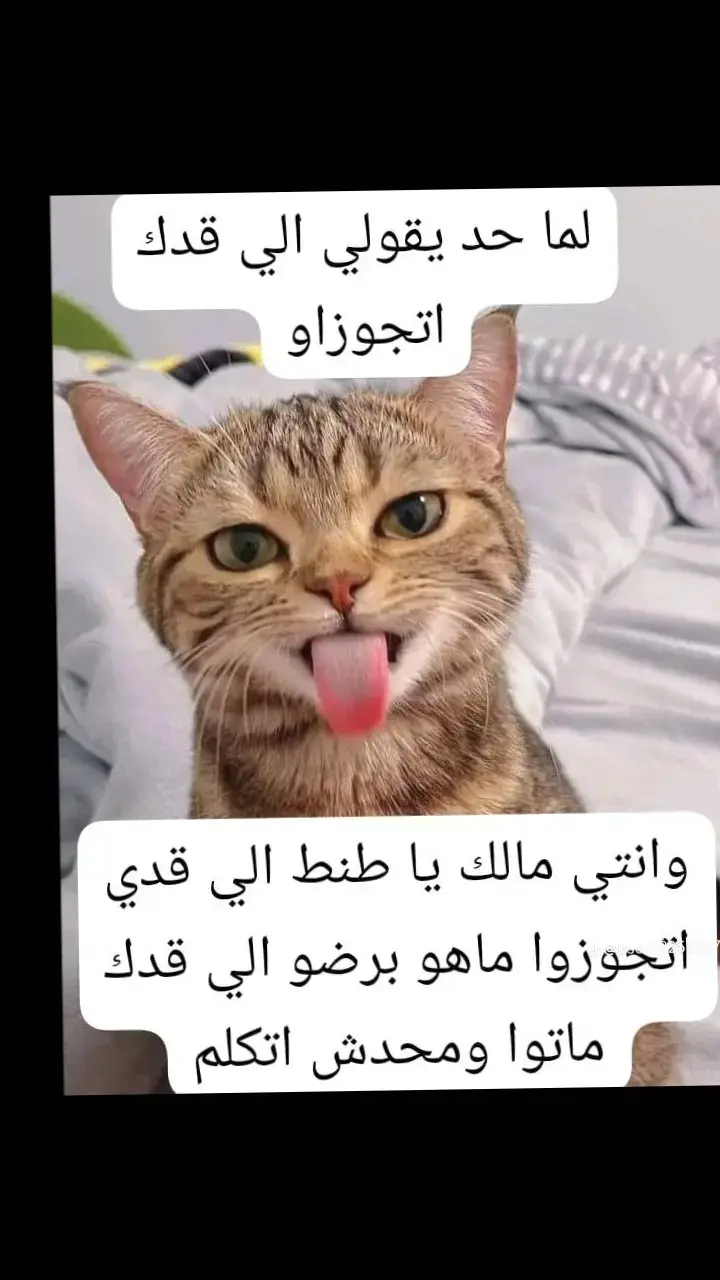 ياريت تخليكى فى حالك بقا 😏😏