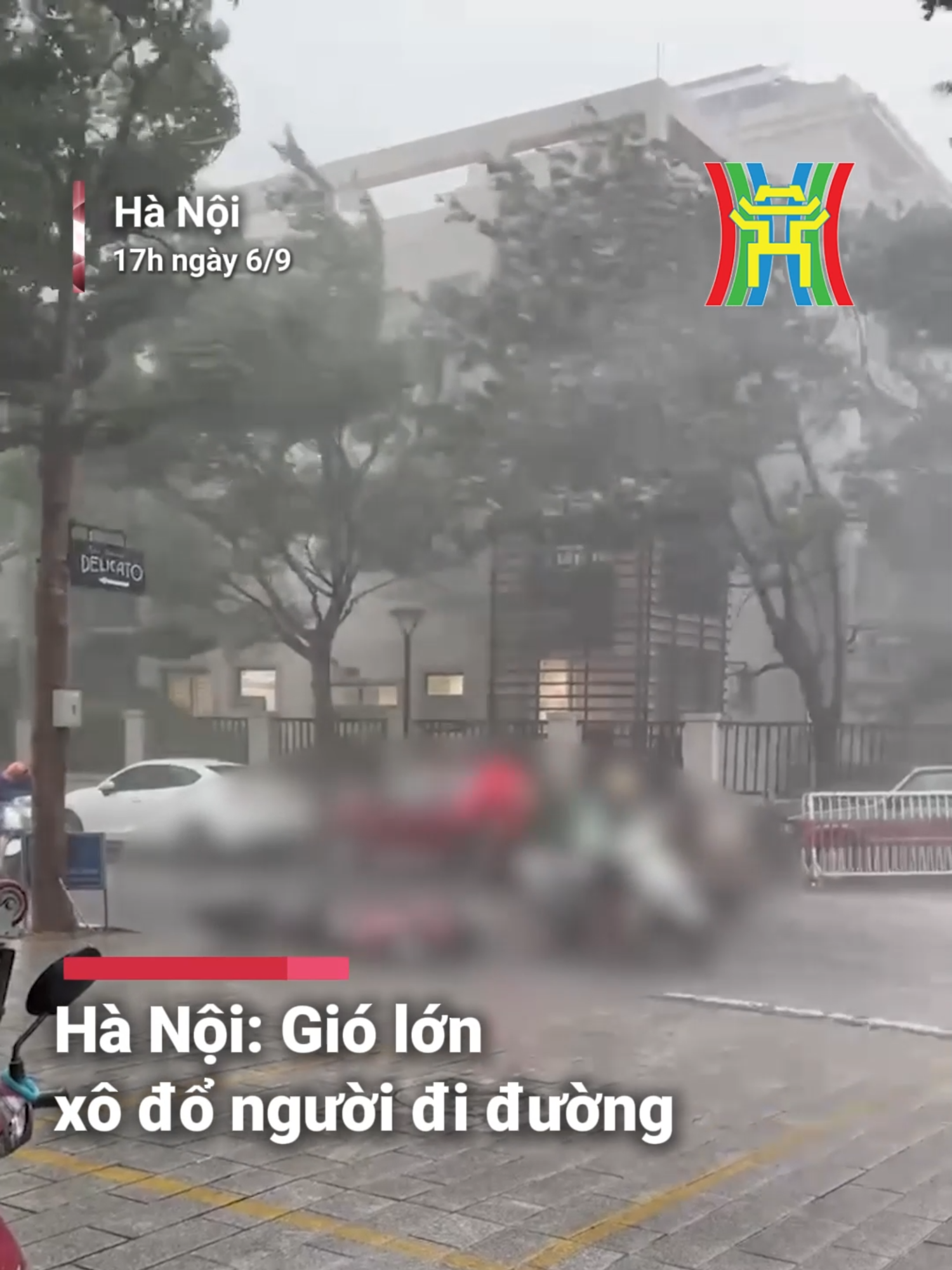 Hà Nội: Gió lớn xô đổ người đi đường #htvdaihanoi #tiktoknews #baoso3 #baoyagi #thoitiet