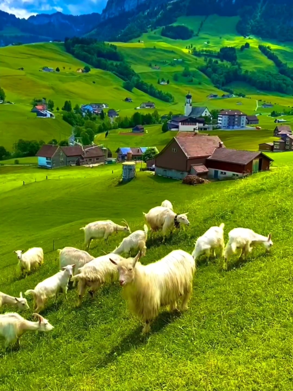 🚩 Switzerland 🇨🇭⛰️🏡🪴🌸 #fyp #nature #switzerland #naturalbeauty #traveltiktok #explore #viral #1m 