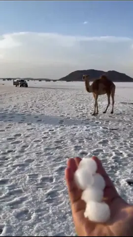 ibadalka Saxaraha ku yimi iyo calaamadihii qiyaamaha oo is keenay.