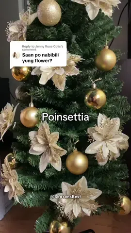 Replying to @Jenny Rose Colis  Celebrate the Season with the Beauty of Christmas Blooms #christmasflowers #poinsettia #christmastreedecor #christmasdecor #christmasdecorations #christmas #bermonths #foryou #foryoupage 