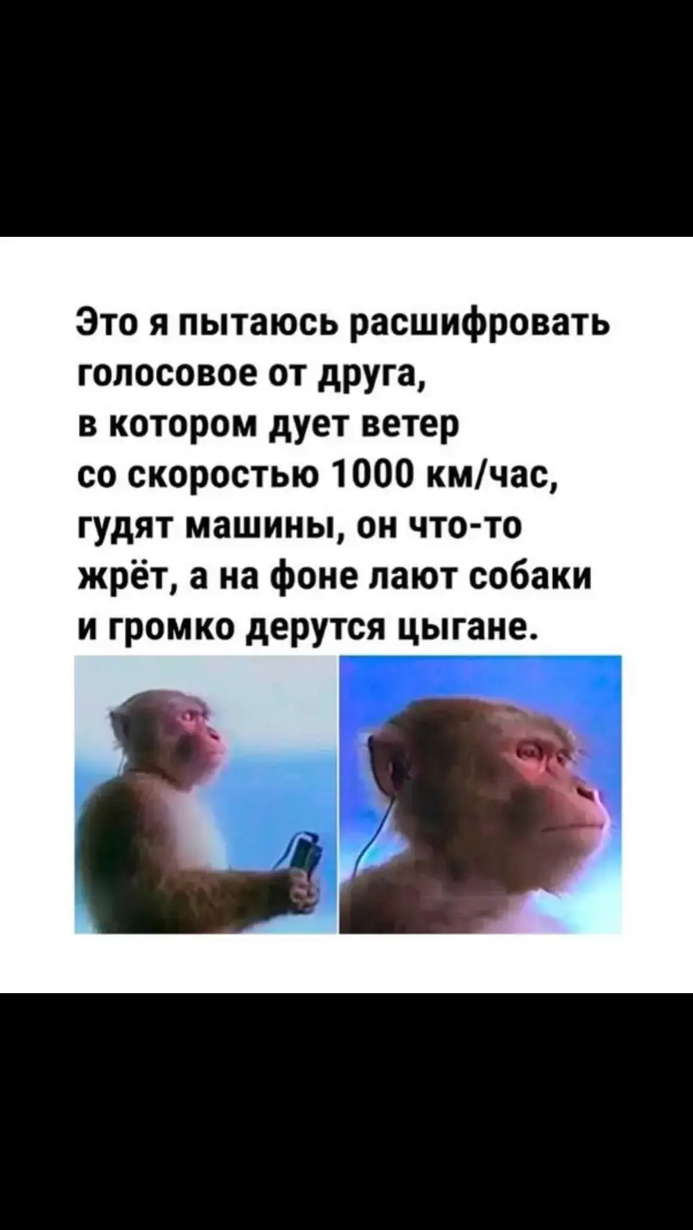 жиза