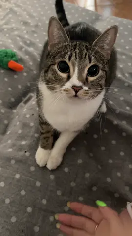 ✨Ekekekekekek✨