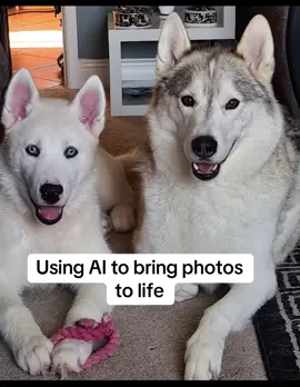 Well that ended quite traumatic 😂 #aifilter #pets #cutedogs #aieffect #dogsoftiktok #creepy #scary 