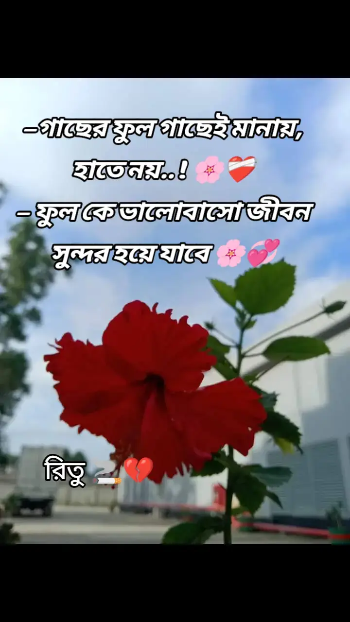 #পারিনা_তবুও_চেষ্টা_করলাম 