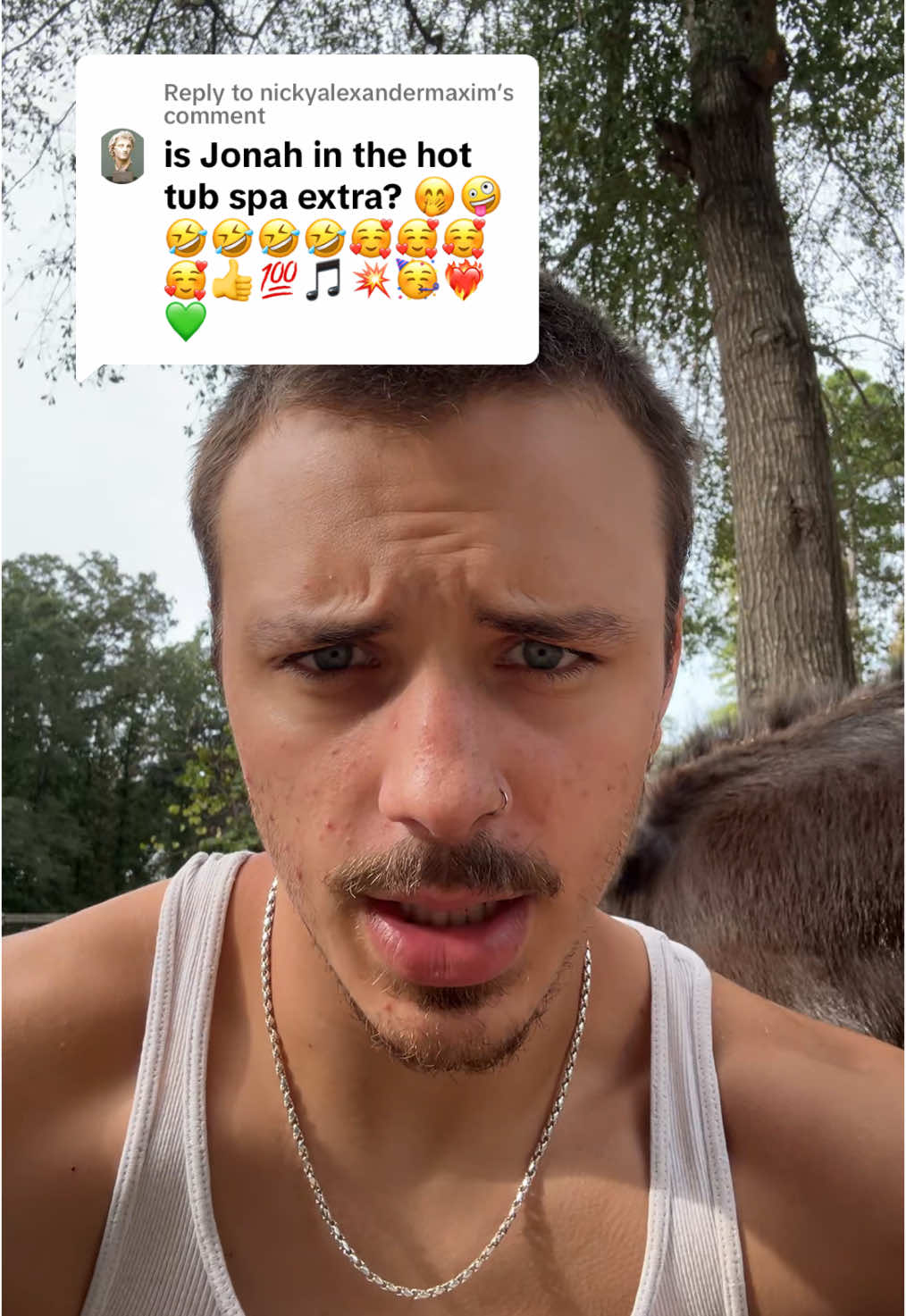 Replying to @nickyalexandermaxim Could at least get my name right #donkeysoftiktok #airbnb #airbnbfinds 