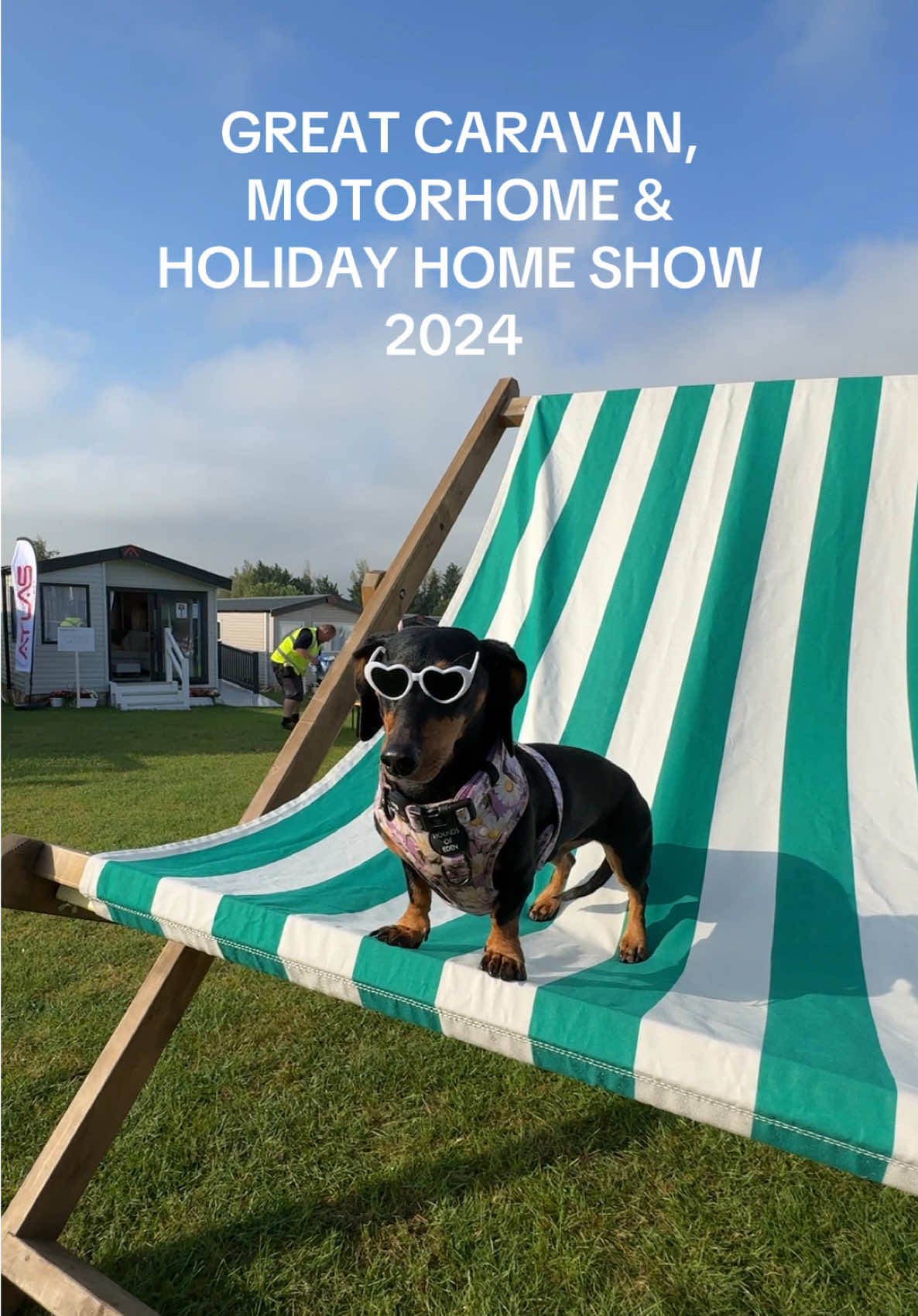 Tickets still available for this weekend 😎 the most amazing Caravan, Motorhome & Holiday Home Show so much to see & do here ☀️ highly recommend visiting  Note tickets are £12.50 not £10 sorry! #greatcaravanshow #caravan #motorhome #holidayhome #harrogateshow #dogfriendly #dogfriendlyuk #caravanlife #motorhomelife 