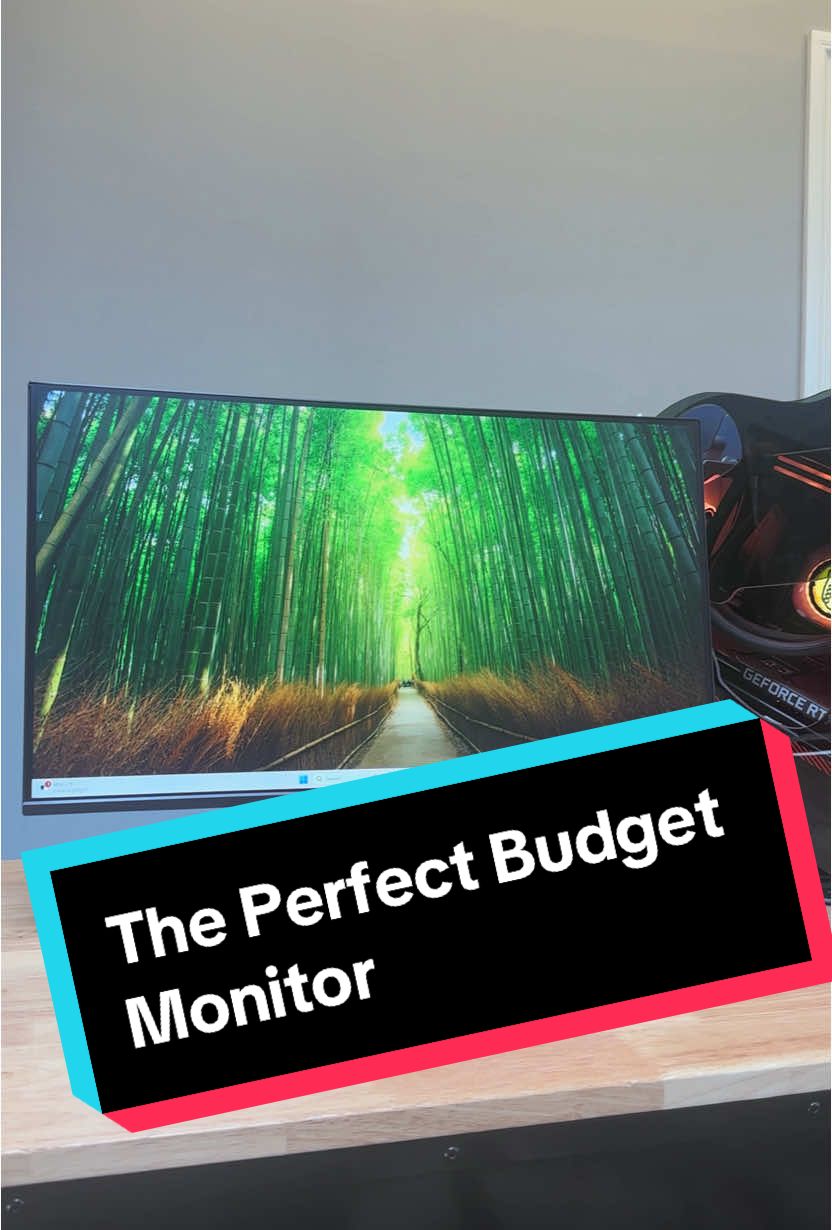 MSI Pro MP251 E2: The Perfect Budget Monitor for Everyone! #msi #monitors #120hz #msibusiness #msibnp #blendedgtalks @Lucky the Dragon @Blended Group 