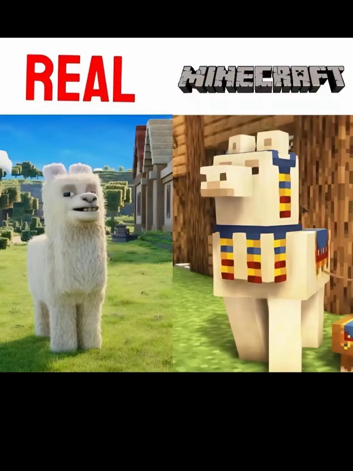 minecraft vs real life #minecraftmemes #Minecraft #minecraftmovie #minecraftrealistic #fyp #funny #foryou #foryoupage #viral #viralvideo #foryoupageofficiall #dontflop #blowup #movie #share #real #minecraft