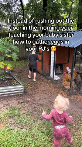 🥹 what dreams are made of. #minihomesteading #homestead #homesteading #DIY #familyliving #microhomestead #momlife #momlife #homeschool #honeschooling #chickens #eggs 