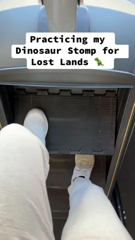 Needs work 🦖 #lostlandsfestival #ravetok #ravetiktok 