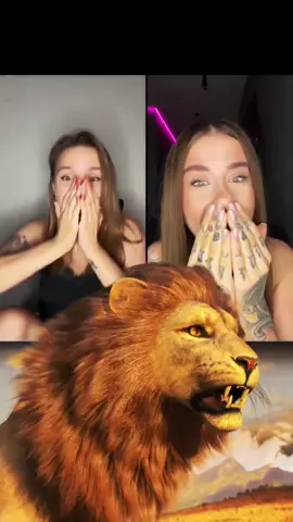 I will bever forget it!! My first LION 🦁 ever 😭❤️❤️❤️ IM SOOO HAPPY!! thank you, dear. you know everything❤️ internal love and appreciation ❤️❤️❤️❤️ #lion #gifts #lions #liongifts🦁 #Love #tiktokviral #tiktokiniverse #amazing #thankyo 
