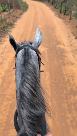 andando de cavalo 🐎🐎#creatorsearchinsights #cavalo #andandoacavalo 