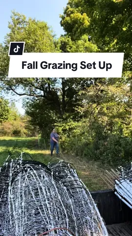 Set up electric net fence with me! Getting ready for fall grazing 🤩 its one of my most favourite tines of year!! #fallgrazing #pasturedsheep #sheep #breedingseason #grazingsheep #ontariosheep #farming #electricnetfence 