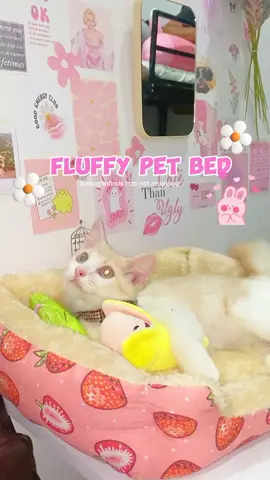 Pet Bed🩷 #petbed #bedforcatsanddog #catsoftiktok #cattoks #furmom #petessentials #petessentialsph #dogsoftiktok 