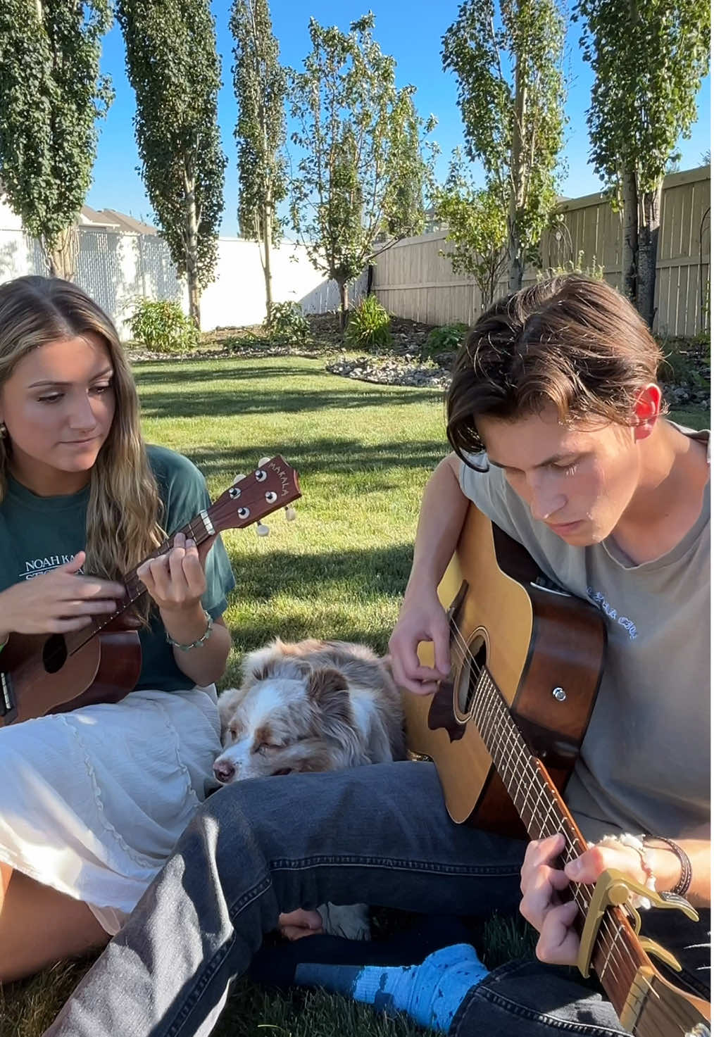 Macy is still a little too nervous to sing  #folk #Home #singersongwriter #Outdoors #australianshepherd 