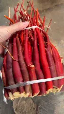 Sâm cau tươi siêu đẹp các bác ơi #xuhuongtiktok #vairalvideo #sâmcauđỏ 