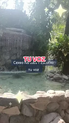Una canción muy personal 🎶🎶 #tuvoz #javiersolis #parati #reydelbolero #amor #cancionesparadedicar #serenata 