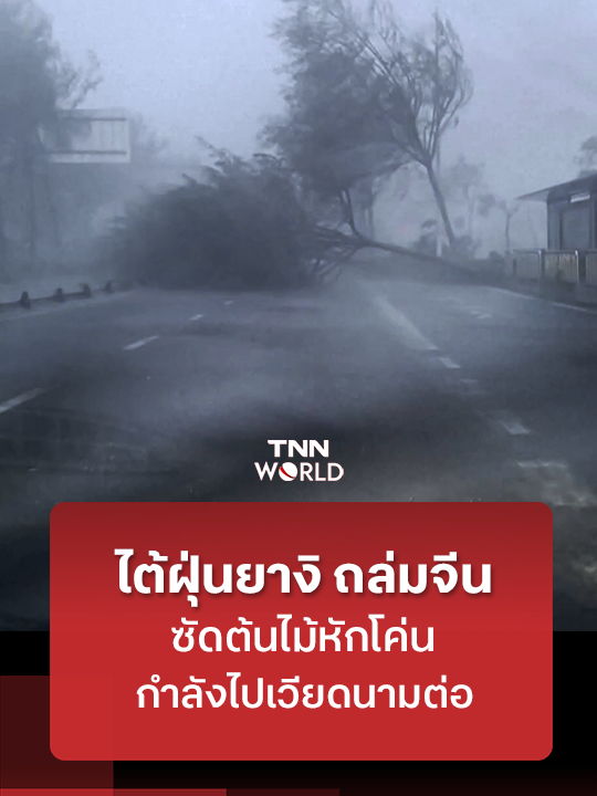 ไต้ฝุ่นยางิพัดถล่มมณฑลไห่หนาน ทางตอนใต้ของจีน ซัดต้นไม้หักโค่นทั่วทั้งเมือง ตอนนี้กำลังไปถล่มเวียดนามต่อ #ไต้ฝุ่นยางิ #จีน #พายุ #TNNWorldNews  #TNNOnline #ข่าวต่างประเทศ #ข่าว #ต่างประเทศ